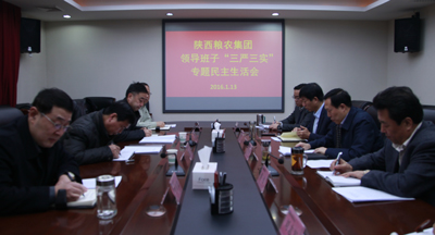 陜西糧農集團黨委召開“三嚴三實”專題民主生活會