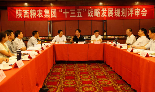 陜西糧農集團召開“十三五”發展戰略規劃評審會